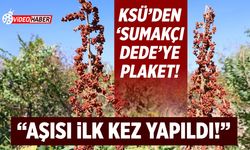 Dalga geçilen hayal KSÜ'nün plaketiyle taçlandı: Sumakçı Dede'nin aşısı dünyada ilk!