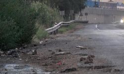 Bu görüntüler herkesi şaşırttı! Binlerce fare kara yolunu istila etti