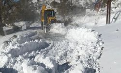 Kahramanmaraş genelinde etkili olan kar yağışıyla 92 köy yolu ulaşıma kapalı