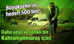 Büyükşehir'in hedefi 500 bin: Daha yeşil ve renkli Kahramanmaraş için!