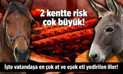 2 kentte risk çok büyük! İşte vatandaşa en çok at ve eşek eti yedirilen iller!