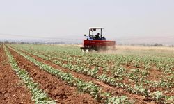 Kahramanmaraş’ta Tarım ve Kırsal Kalkınmaya Dev Destek