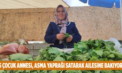 5 çocuk annesi, asma yaprağı satarak ailesine bakıyor