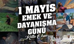 AK Parti İl Başkanı Gül; “Alın teriyle yükselen Türkiye’yi birlikte inşa ediyoruz.”