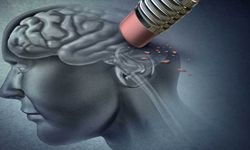 Alzheimer İle Mücadelenin Formülü: Bilim İnsanları Açıkladı