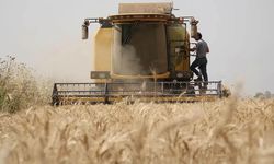 Kahramanmaraş’ta Çiftçilere Dev Müjde! 3,3 Milyar Lira Destek