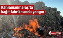 Kahramanmaraş'ta kağıt fabrikasında yangın!