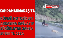 Kahramanmaraş’ta motosikletin arkasına bağlanan köpeği sürükleyen şahsa 50 bin TL ceza