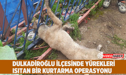 Dulkadiroğlu İlçesinde Yürekleri Isıtan Bir Kurtarma Operasyonu