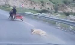Kahramanmaraş’ta Şok Görüntüler! Köpeği Motosikletle Sürüklediler