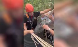 Kahramanmaraş'ta Kuyuya Düşen Keçi Kurtarıldı