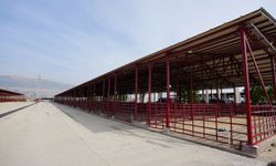 Kahramanmaraş kurban satış alanları için geri sayım