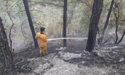 Kahramanmaraş’taki Orman Yangınında 5,5 Hektar Alan Zarar Gördü