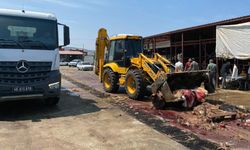 Kahramanmaraş'ta hayvansal atıklar temizlendi