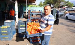 Salça Zamanı Gecikti Domates Yüz Güldürmedi
