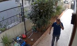Kargo Teslimine Gitti, Hayat Kurtardı!