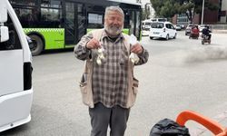 Bozuk paracılık mesleği haline geldi
