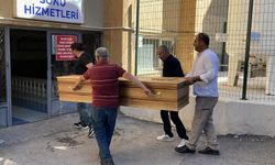 Kâbus sürüyor, keneden ölenlerin sayısı 11'e yükseldi