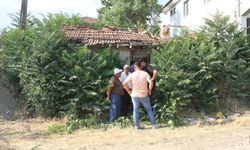 Bir şehir bunu konuşuyor: Keloğlan’ın memleketi neresi?