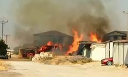 Kahramanmaraş'ta Samanlık Alev Alev Yandı