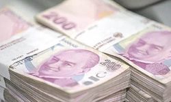 Veysi Kaynak Hakkındaki Kredi ve Teşvik İddiaları Gündemde