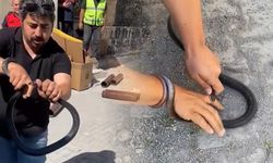 Eve giren yılanı yakalamak isterken parmağını kaptırdı