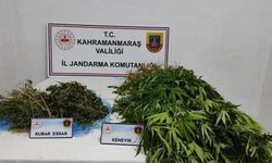 Afşin’de Yasaklı Madde Operasyonu! Jandarmadan Kaçamadılar