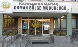 Sendika skandalı aidatlar şahsi harcamalara mı gidiyor?