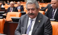 Devlet Bahçeli İmralı'ya ben giderim demişti! MHP'den gidecek isim belli oldu