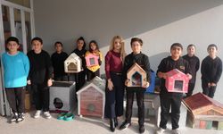 Öğrenciler üretti sokak kedileri kazandı