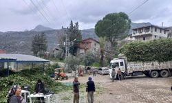 Kilogramı 25 liradan satılan defne yaprağı bir köyün geçim kaynağı oldu