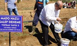 MADO’dan dikkat çeken hamle: Salep artık bir kültür mirası