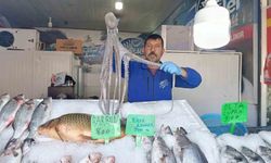 Denize kıyısı olmayan Kahramanmaraş’ta balığa yoğun ilgi
