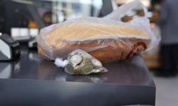 100 lira bozuk para getirene 2 ekmek bedava