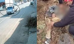 Yeğenini taşla yaralayıp toprağa gömdüğü çocuk, polisin 200 kamera kaydını izlemesiyle bulundu