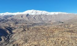 Nurhak’ta yaban domuzu avı yapıldı