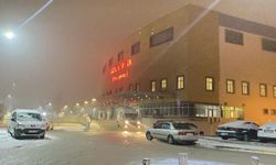 Samanlıkta feci son: Yem hazırlarken öldü