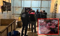 Halk sağlığını tehdit eden işletme kapatıldı