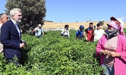 Büyükşehir’den üreticiye dev destek! 100 milyon TL tarıma aktarıldı