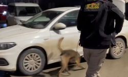 Kahramanmaraş'ta zehir tacirlerine operasyon! 3 tutuklama