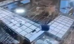 Şanlıurfa’daki 4 milyon liralık kuyumcu soygununun görüntüleri ortaya çıktı!