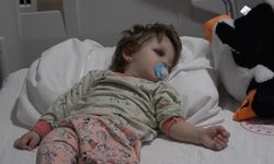 Çınarcık’ta komşu kavgası: Baba ve bebeğe sopalı saldırı