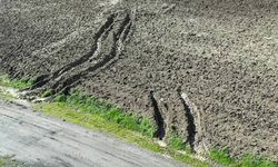 İstanbul’daki cinayet dosyasına İnterpol müdahalesi
