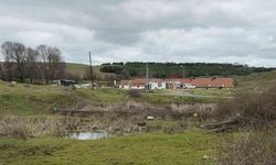 İstanbul'da tartışma sonrası elektrikli testereli saldırı! Boynunu deldi