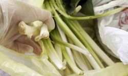 Mersin'de Doktor çiftin zor anları! Pazı olarak aldıkları ot, tirşik otu çıktı