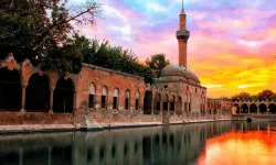 Kitap Kokusu Şehri Sardı: Kütüphaneler Gençlerin Yeni Adresi Oldu