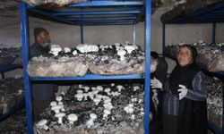 2 bin yıllık tarihi mağarada mantar üretim tesisi kurdu