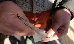 Maraş otu kullananlar bu habere dikkat! Günde 8 paket sigaraya bedel