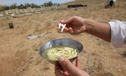 Kilosu 15 bin TL olan dağ sakızı rekor kırdı