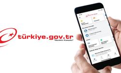 E-devlet görünümlü site üzerinden milyonluk vurgun!